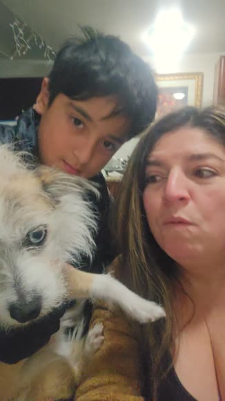 Video review of Clips Pets & Animals  by 6786af4364a30971ad72f7c7