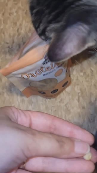 Video review of Red Barn Protein Puffs Salmon Crunchy Cat Treats  by 678717bc1cab12a6d28f187a