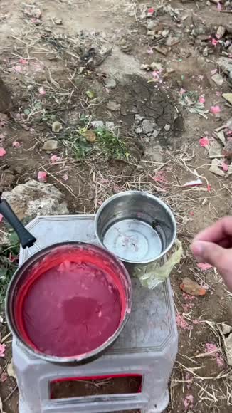 Video review of Clips Home & Garden  by samayoanoe1220