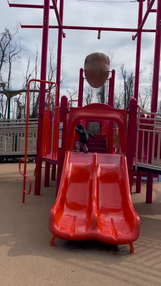 Video review of Clips Home & Garden  by gloria-ovando