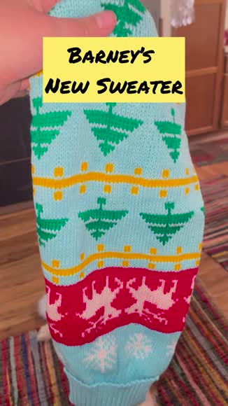 Video review of Dog Hugs Cat Cozy Christmas Pet Sweater: Festive Knitted High Collar For Cats Christmas Tree Deer Sky Blue by 6715686d0eff765db349d6fd