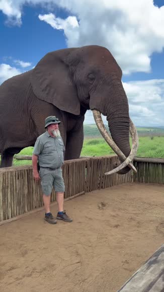 Video review of Clips Animals  by 67911170f24680a558949aa8