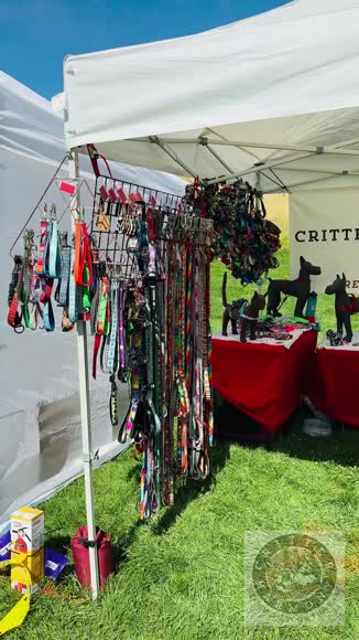 Video review of Clips Business  by critterharmony