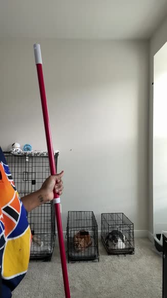 Video review of Indigopetco Indigo Pet Hair Removal Broom  by 67bdf63806617bc674e55dee