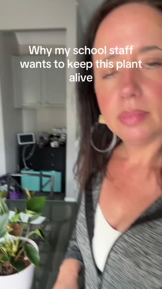 Video review of  Home & Garden  by 677305f462aeb456e8e3c4e7