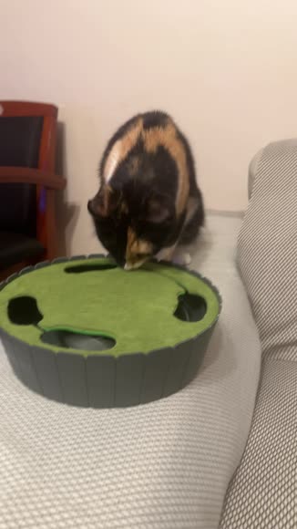 Video review of P.L.A.Y. Peek-a-Boo Mouse Interactive Cat Toy  by 678ea756291063ec65c0750d