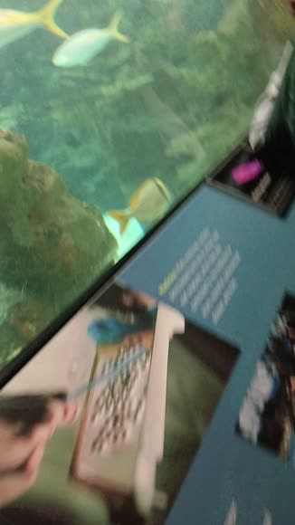 Video review of Clips Animals  by 67996124d9a5e59aea080a89