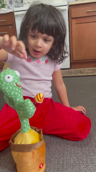 Video review of The Noodley Talking Repeating Dancing Cactus Toy Plush Kids Baby Songs Sombrero & Maracas  by 6758e7cd3861669f298d0e53