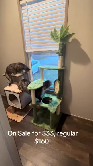 Video review of Clips Animals  by 6786eff63652ed2211bd8a2e