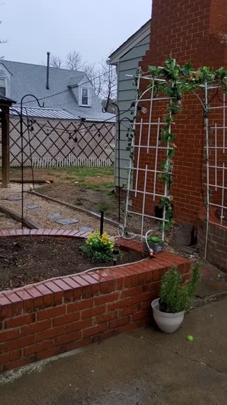 Video review of Clips Home & Garden  by 67b7b991e24f2436ebb23b22