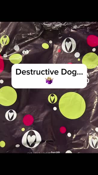 Video review of HuggleHounds® HuggleCause™, Project K-9 Hero, Flash Knottie® Plush Dog Toy, Large  by 67b2a28275afc63e93a31b9d
