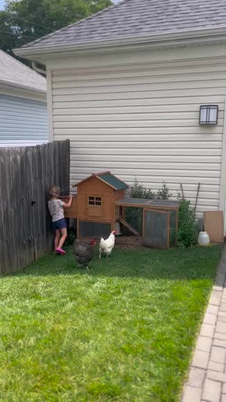 Video review of Clips Animals  by ashleeknableaffiliat