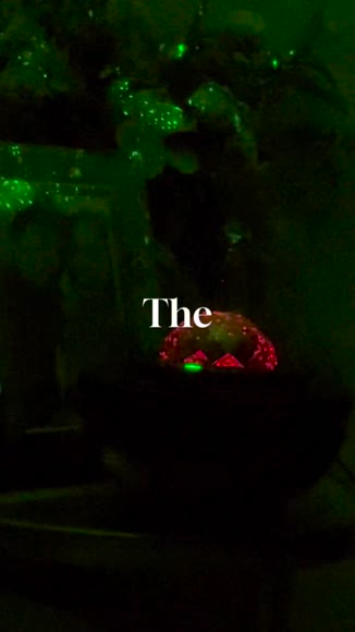 Video review of Zulay Kitchen Zulay Home Star Light Night Star Projector  by 67777b99ce56913c07aa764f