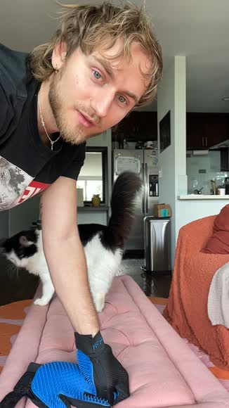 Video review of  2 Pak Hand 259 Silicone Pins Pet Grooming Gloves  by logantcompton