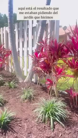 Video review of Clips Home & Garden  by 679bfe82bab86da6a4553838