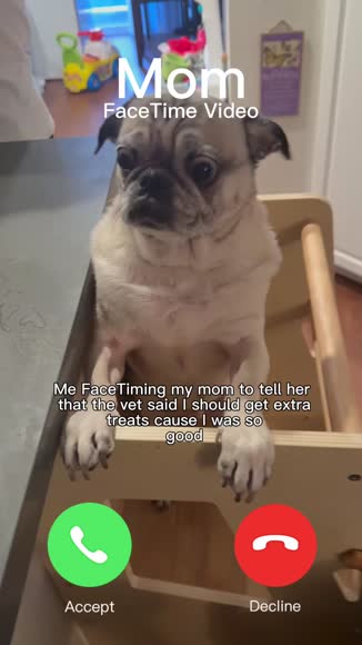 Video review of Clips Animals  by 6769658cfce05ed4c53ccfd5