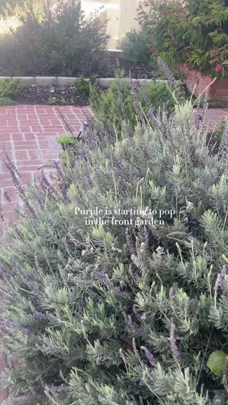 Video review of  Home & Garden  by sarahgracewilson-sd