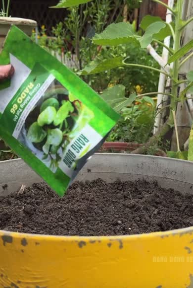 Video review of Clips Home & Garden  by 6755bbf3a99aacda543395c9