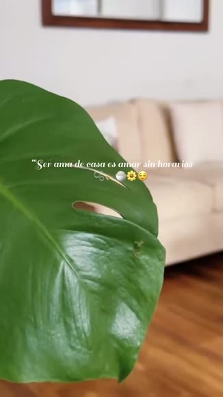 Video review of Clips Home & Garden  by 65e76758425a9b5d3e4dad24