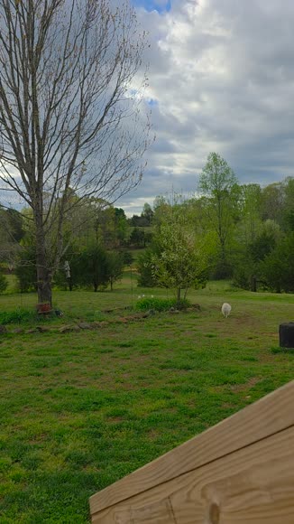 Video review of  Home & Garden  by 6785abeb76ed37674dd0408d