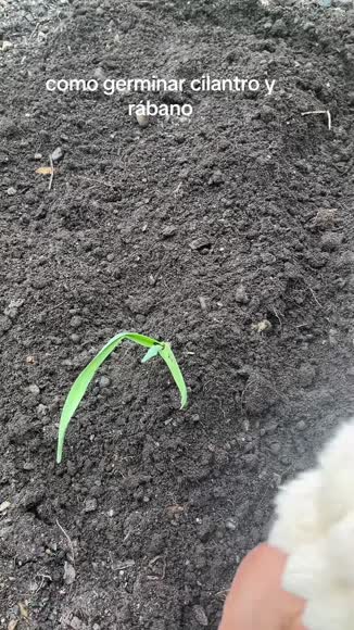 Video review of  Home & Garden  by 6782da89c4acbdeed715eedc