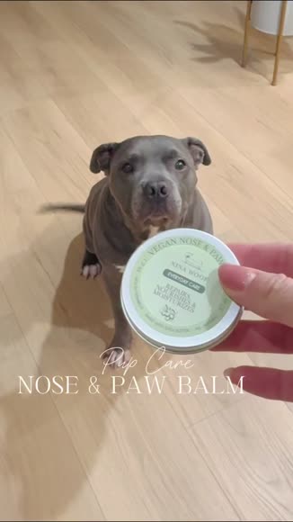 Video review of Nina Woof Dog Vegan Nose and Paw Balm  by 655d716916e90c5c946a7555