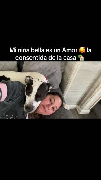 Video review of  Pets & Animals  by 67a26336c9db69517557be76
