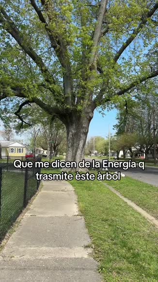 Video review of  Home & Garden  by 67e8a841e4b10a029b29fcc7