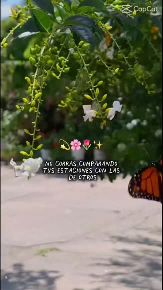 Video review of  News  by 67a81a1c8b456d65822ffae1