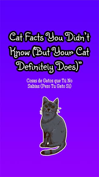 Video review of  Pets & Animals  by 6789982f424e70b07b9f853b