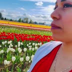 Video review of  Travel  by 66fadd791394706835669e92