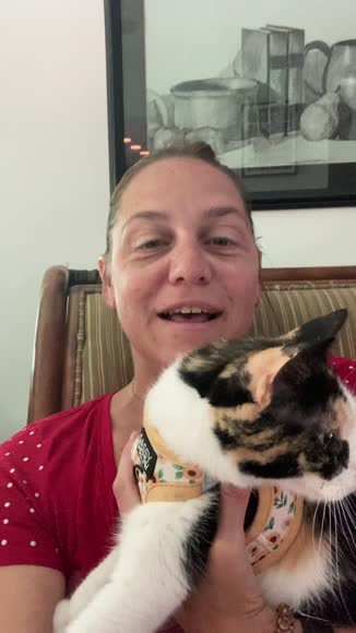 Video review of Sassy Woof Cat Step-in Harness - Sunflower Dreams  by 67dc23f2791bc94571f9e0e7
