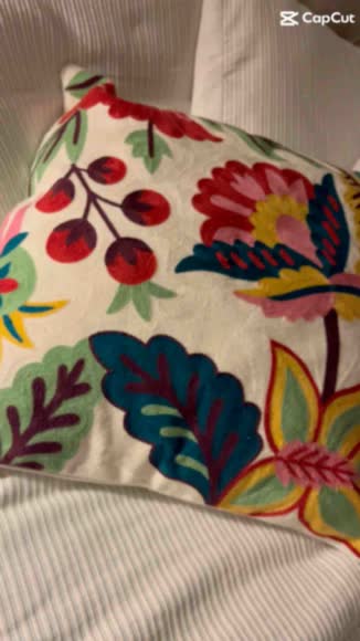 Video review of  Zagreb Pillow  by vanesalazar0630