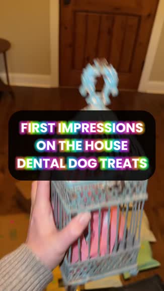 Video review of Finn Plaque Patrol Dental Chews Large – For Dogs 25+ lbs | Vet-Formulated, 100% Natural, Grain-free, Tummy-Friendly  by 6735fedc577f3f4bbf689c6f
