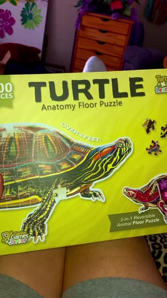 Video review of Genius Games Pond Slider Turtle Jigsaw Puzzle  by 6796f1d4699883061defb0b6