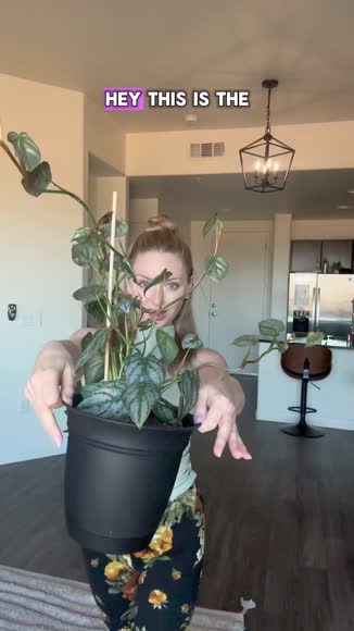 Video review of Drugs for Plants 28G Bag  by kaitytainer