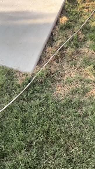 Video review of EverBloom Heavy Duty Stainless Steel Garden Hose With 7-Pattern Nozzle  by 67602977e41ed5b930af147e