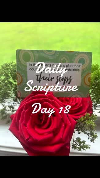 Video review of Dessie 63 Different Unique Mini Christian Prayer Bible Verse Scripture Cards  by 67981b0d96a9d867363c6f06