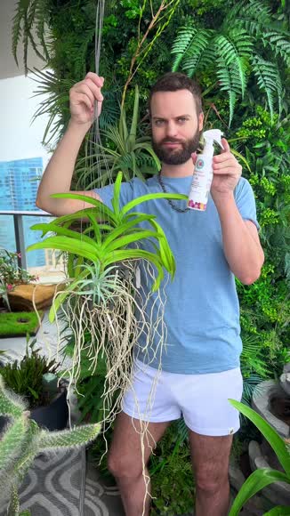 Video review of Houseplant Resource Center Orchid Food Fertilizer Spray  by austen.r.parker