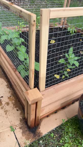 Video review of Jumbl Raised Garden Bed  by 678db19ef63102cc133d2878