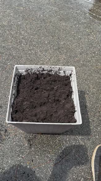 Video review of Seeds In A Cup  Green Apple  Tree | Seed Starter Grow Kit | Seeds In A Cup®  | Tin Planter  by 67900cedc172236aeca1f16d