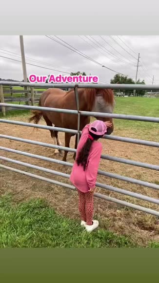 Video review of Clips Pets & Animals  by 67a4b10cee42a49cf77271e3