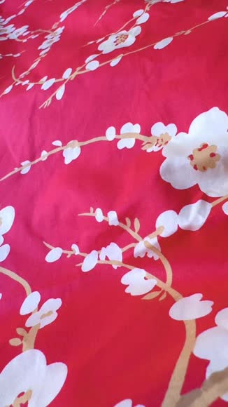 Video review of Lincove Canadian Down Alternative Duvet Comforter - Soft & Plush Feel - Queen  by 678c7f2388c7729fb2e0492f