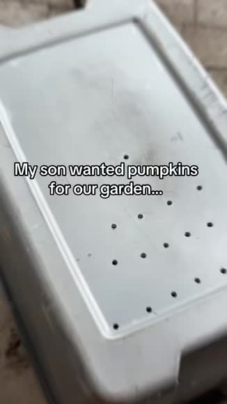 Video review of Clips Home & Garden  by 678946d9f490acc6d706e3dc