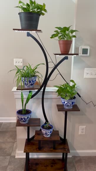 Video review of EP Light 8-Tier Indoor Plant Stand with Adjustable Grow Lights  by 677a84a4f50bb12f96b3be7f