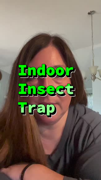 Video review of Bell + Howell Rogue Indoor Fly Insect Trap With Night Light - Plug in Sticky Bug Catcher, Pest Repeller Indoor Bug Trap for Flies, Fruit Flies, Gnats, Odor Free  by 678bda6fc4f4681f38711b9f
