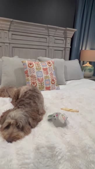 Video review of  Fontana Pillow  by 67aacdd01993ca7e167cfc12
