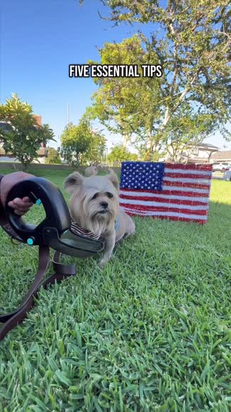 Video review of Spleash Spleash® +That Leash™️ Combo  by yr8gswthpv
