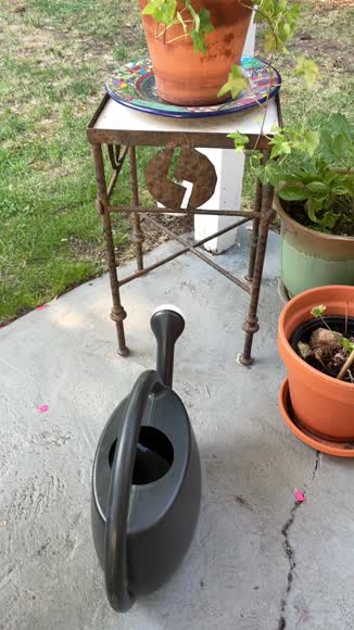 Video review of House Plant Shop English Ivy 'Green California'  by 67526c81b67a939f33dc4608