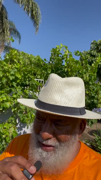Video review of C.C Popular Pattern Pony Trucker Cap  by 67e8c6d107cb7e059e15689e